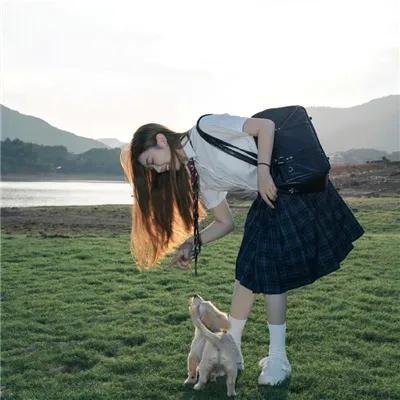 机械陪伴